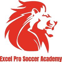 Excel Pro Soccer Academy